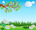 Spring meadow with daisies - vector illustration.