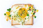 Fried egg on toast bread on a white plate, top-view