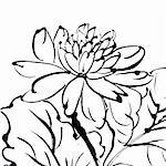 Traditional Chinese painting of flower on white background.
