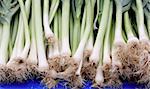 Large spring onions on outdoor markey stall