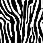 Seamless tiling animal print zebra, vector illustration