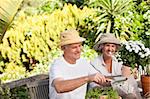 Senior couple sitting in their garden