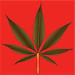 cannabis leaf against orange background, abstract vector art illustration