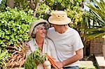 Lovely couple with vegetables in the garden