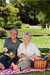 Retired couple  picnicking in the garden