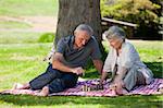 Mature couple  picnicking in the garden