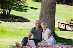 Senior couple  picnicking in the garden