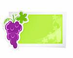 sticker with grapes cluster vector illustration isolated on white background