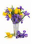 Purple iris and yellow tulip flower arrangement in an aluminum vase and loose isolated over white background.