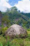 A traditional hut in an Indonesian mountain village