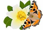 Illustration of a spring theme. A butterfly sitting on flower
