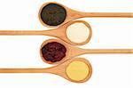 Mint and cranberry jelly, horseradish sauce, and mustard in four wooden spoons isolated over white background.