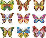 Set of beautiful multicolored butterflies on a white background