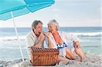 Elderly couple picniking on the beach