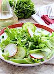 salad with radishes,cucumber,green peas and sprouts