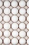 white eggs isolated on white