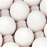 white eggs, background