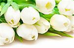 white tulips