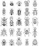 hand draw insect icon