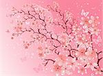 cherry blossom,  vector illustration