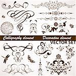 Collect Calligraphic and Floral element for design, vector illustration