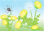 Cartoon spider and dandelions. Illustration for design