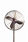 Electric fan isolated on  the white background