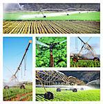 Collage of irrigation images