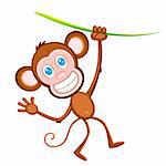 illustration of monkey hanging from tree on white background