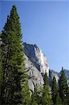 Scenic Landscape in Yosemite National Park, California