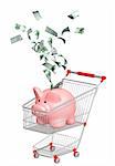 Piggy bank in shopping cart