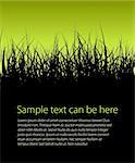 Green vector grass background with place for your text