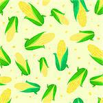 Corn ears seamless pattern. Background on white background