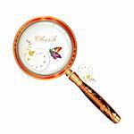 Magnifying glass isolated and butterfly over white background