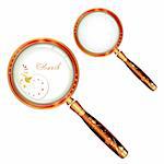 Magnifying glass isolated and butterfly over white background, vector object