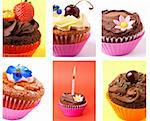Collage of various cupcakes: vanilla, chocolate, strawberry in decorative cups