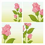 set of 4 beautiful roses backgrounds