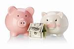 Pair of piggy banks with money house on white background
