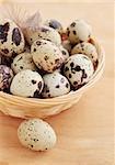 quail eggs in the basket with the plumelet