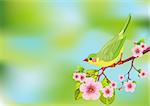 Cute bird sitting on blossom tree branch