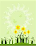 vector background with abstract daffodils, Adobe Illustrator 8 format