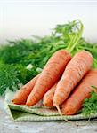 Fresh organic carrot with green leaves on an old table