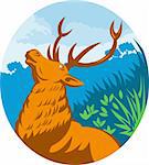 illustration of a Roaring red stag deer with forest in the background