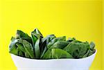 Green fresh spinach on a white plate