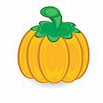 Single Orange Pumpkin with Green Stem on white