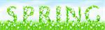 Eco-Style Grass Letters. Spring. Vector version letters is in my gallery.