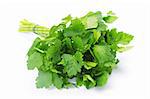 Bunch of fresh green parsley isolated on white background