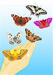 Multicolored butterflies flying out of human hands