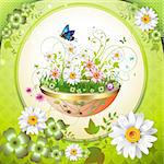 Flowers in the flowerpot and butterflies