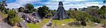 Panoramic image of the the Mayan ruins of Tikal in Guatemala.